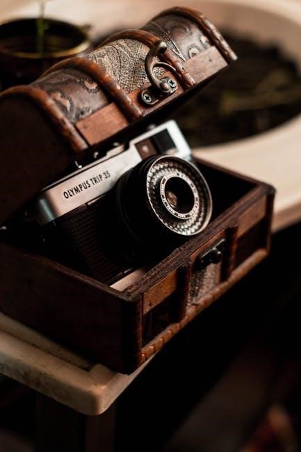 miller dynasty 210 manual